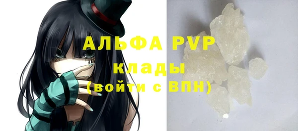 прущие грибы Кодинск