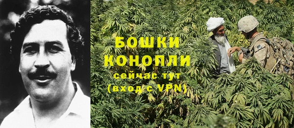 ALPHA PVP Козельск