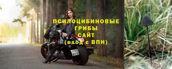 ALPHA PVP Козельск